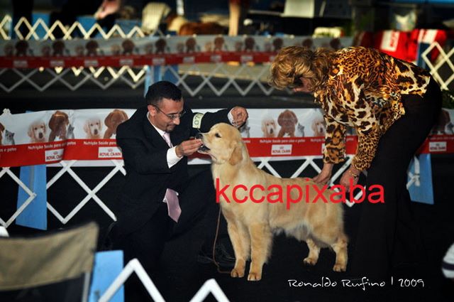 Clique sobre a foto para fechar